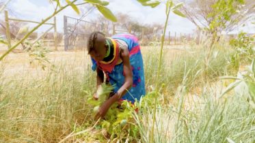 tullow_website_video-thumbs_1067x600_Greening-the-Arid.jpg