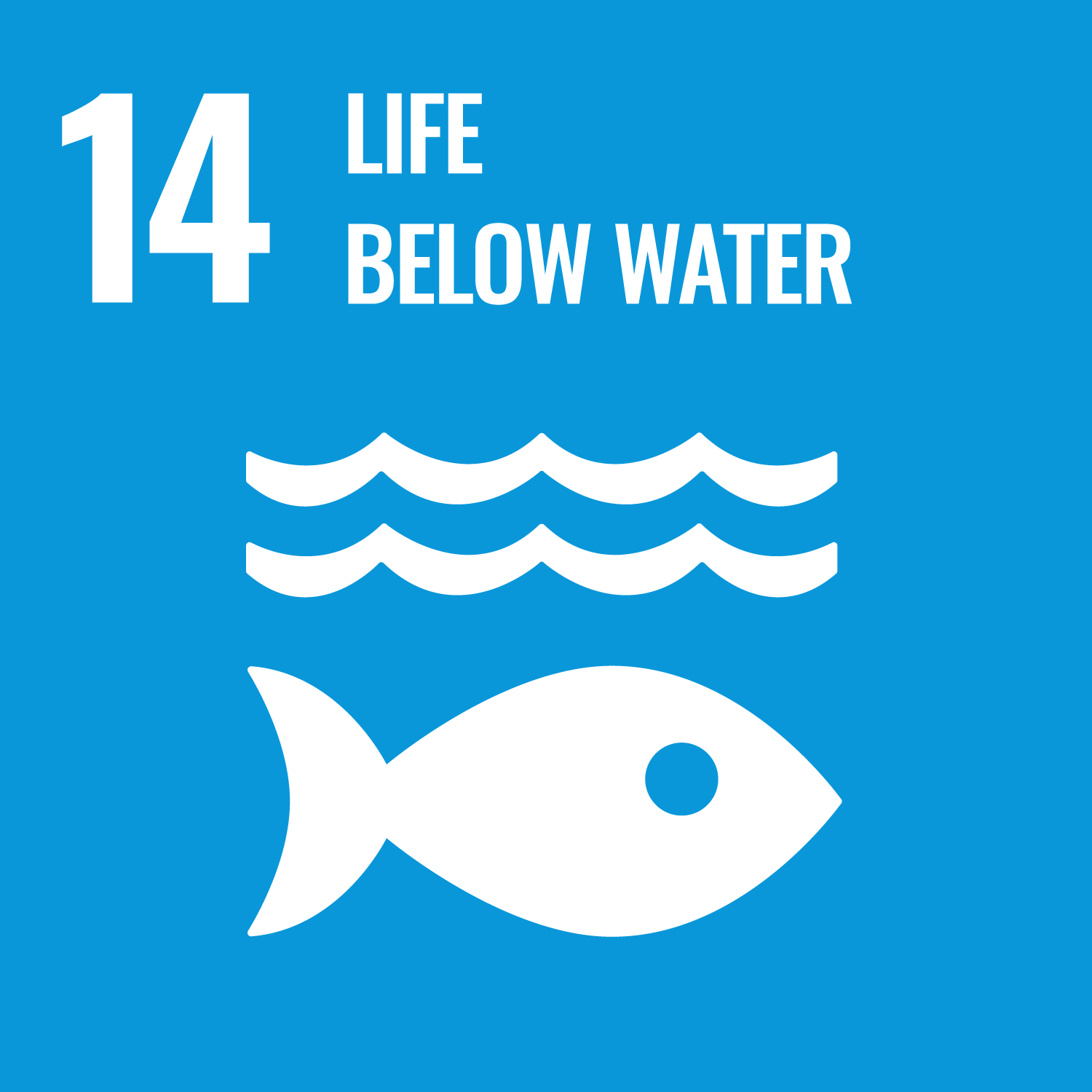 14-Life-below-water.png