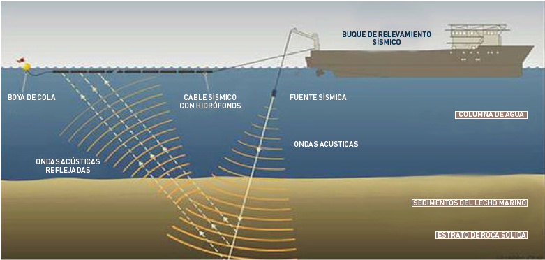Seismic Image_Argentina_01.png